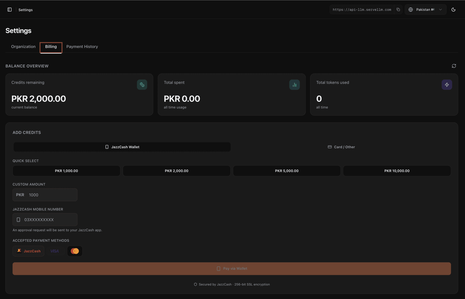 ServeLLM billing - local currency credits and payment rails